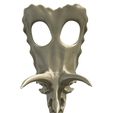 03.jpg Torosaurus skull in 3d
