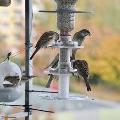 DSC_9485.jpeg STL file Bird Feeder System T438・3D print design to download