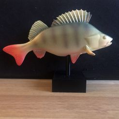 IMG_1329_1.jpg STL file Perch on (optional) pedestal・3D print design to download