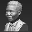 nelson-mandela-bust-ready-for-full-color-3d-printing-3d-model-obj-mtl-fbx-stl-wrl-wrz (23).jpg Nelson Mandela bust 3D printing ready stl obj