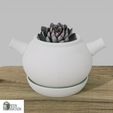 19.jpg Combo of 6 flower pots models for 3d printing, #A3
