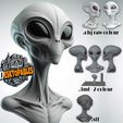 Grey-Alien-Bust-H.jpg Grey alien bust H - includes optional colour profiles