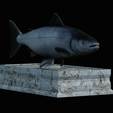 Salmon-statue-box-1-8.png fish sculpture of a Atlantic salmon / salmo salar with storage space / for 3d printing