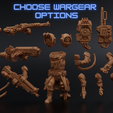 Choose-wargear-Options.png Skytar Hunters PRESUPPORTED