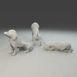 5.png Low polygon dachshund 3D print model  in three poses