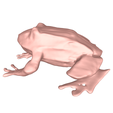 model-1.png Frog no.2