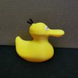 1.jpg Psyduck Rubber duck