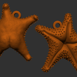 estrella_conicet_llavero.png Star Conicet culona mar del plata keychain magnet postasahumerio
