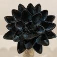 a0382a76-83d2-4f43-b31f-538eadffe816.jpg MTG Black Lotus Flower Display Piece - Magic The Gathering Desk Toy