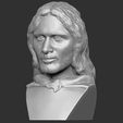 3.jpg Aragorn The Lord of the Rings bust for 3D printing