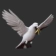 Pigeon_preview.jpg Dove of peace