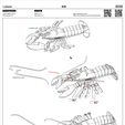 龍蝦組裝圖解.jpg Boston lobster