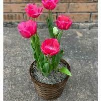 images-2023-11-08T222438.456.jpg 3d model tulips