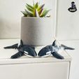 IMG_18111.jpg Low Poly Orca Whale Figurine - No Supports