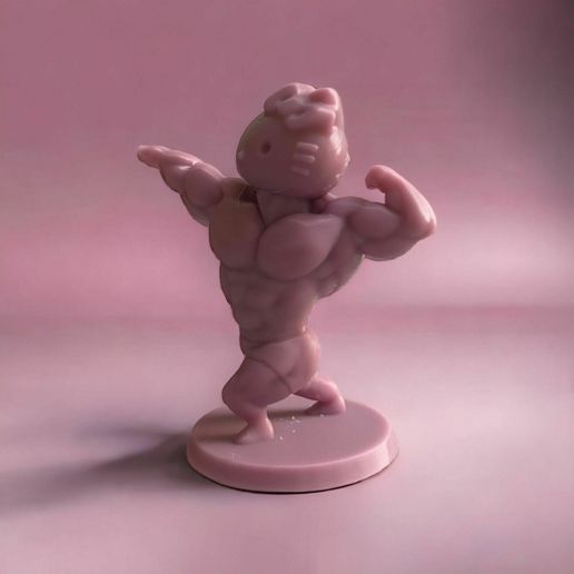 WhatsApp-Image-2023-07-28-at-19.24.50.jpeg HELLO KITTY SWOLE body 2