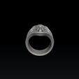 sed4f5sdf412s21dfs54f5sd.jpg Modelo de impressão 3D do Elephant Ring N2