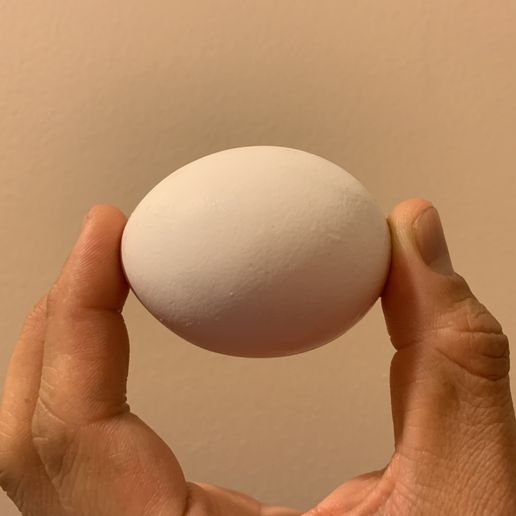 A0B452A7-EE2D-417C-B6E0-2DEE6D5C2A09.jpeg De vrais œufs de Pâques