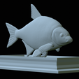 Bream-statue-24.png fish Common bream / Abramis brama statue detailed texture for 3d printing