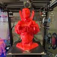 DeadPool Bust