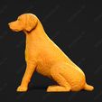 2738-Brittany_Pose_04.jpg Brittany Dog 3D Print Model Pose 04