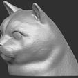 11.jpg British Shorthair cat head for 3D printing
