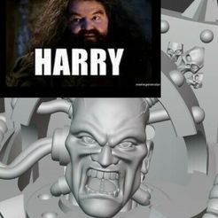 PF_CS-WIP5.jpg Fichier 3D Vous êtes un traître Harry....・Objet imprimable en 3D à télécharger