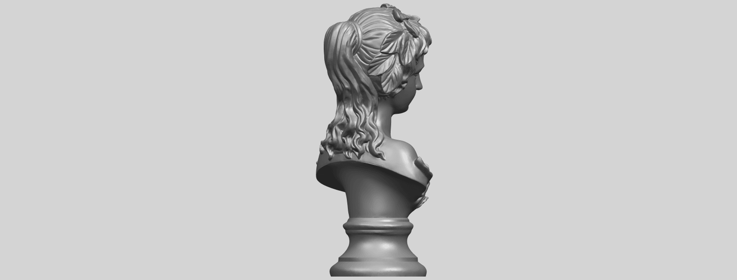 12_Bust_of_Venus_80mmA08.png Free 3D file Bust of Venus・3D print model to download, GeorgesNikkei
