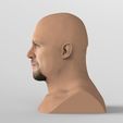 untitled.185.jpg Stone Cold Steve Austin bust ready for full color 3D printing