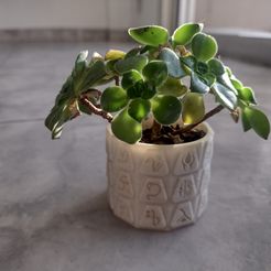 Maceta-2.jpeg STL file Diablo II Runas Planter・3D print design to download