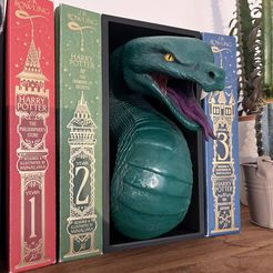 Snake Emerging- Rincón de los libros inspirado en Slytherin