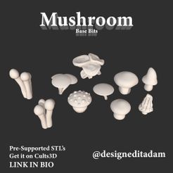 Bits_Mushrooms.jpg Base Bits Mushroom