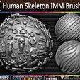 Human-Skeleton-IMM-Brushes-Sculpted-By-Yacine-BRINIS-Set-028.jpg Human Skeleton IMM Brushes