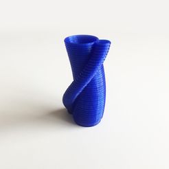IMG_2112.JPG Archivo STL Arrayed Tube Vase # 1・Plan para descargar y imprimir en 3D