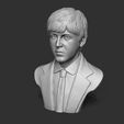 09.jpg Paul McCartney 3D print model