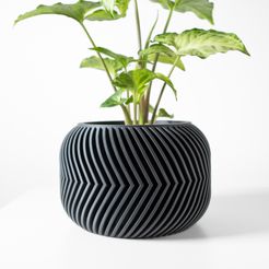 DSC07123.jpg The Ervon Planter Pot with Drainage Tray & Stand: Modern and Unique Home Decor for Plants and Succulents  | STL File
