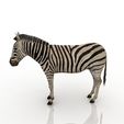 Zebra_3.jpg Zebra 3D model