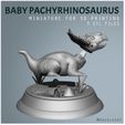 eae @AGUSLUSKY Baby Dinosaur Pachyrhinosaurus
