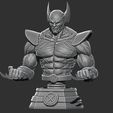14.JPG Wolverine Bust - Marvel 3D print model 3D print model