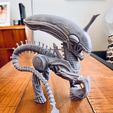 306782379_1152341815683063_7114835022968267923_n.jpg My Little Xeno pony xenomorph aliens
