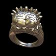 Punk rings by mwopus - 3D model - Sketchfab20180119-005878.jpg Файл STL Punk rings・3D модель для печати скачать