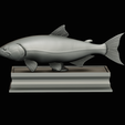 golden-dorado-statue-box-1-39.png fish golden dorado / Salminus brasiliensis with storage space / for 3d printing