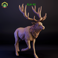 Elk-2jpg-1.png Elk - 2