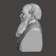 Leo-Tolstoy-3.png 3D модель Льва Толстого - высококачественный STL файл для 3D печати (ПЕРСОНАЛЬНОЕ ИСПОЛЬЗОВАНИЕ)