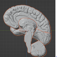 62.PNG.23dab0def76841d067518fd7a4d93ebf.png 3D Model of Human Brain