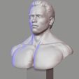 2.jpg Arnold Schwarzenegger 3d sculpture bust