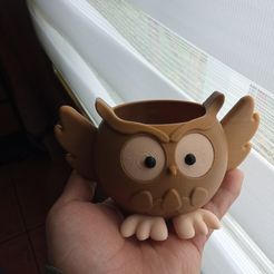 IMG_20230810_161708.jpg STL file Owl Flowerpot・3D print model to download