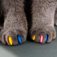 anti-rasgunos-gato.png nail covers for cats and dogs