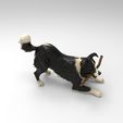coli2.jpg Border Collie Playing Dog 1/32 Scale – Stick in Mouth Herding Dog Figure for Dioramas