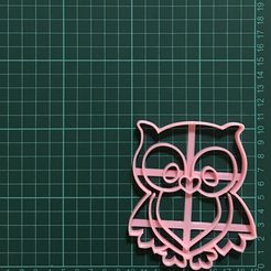 IMG-5925.jpg Owl Cookie Cutter