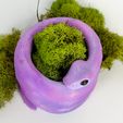 95059C50-8E23-4BA1-AAC4-2537BE851FA9.jpeg STL file Snake Planter・3D print design to download